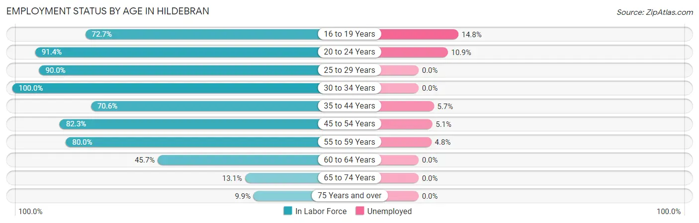 Employment Status by Age in Hildebran