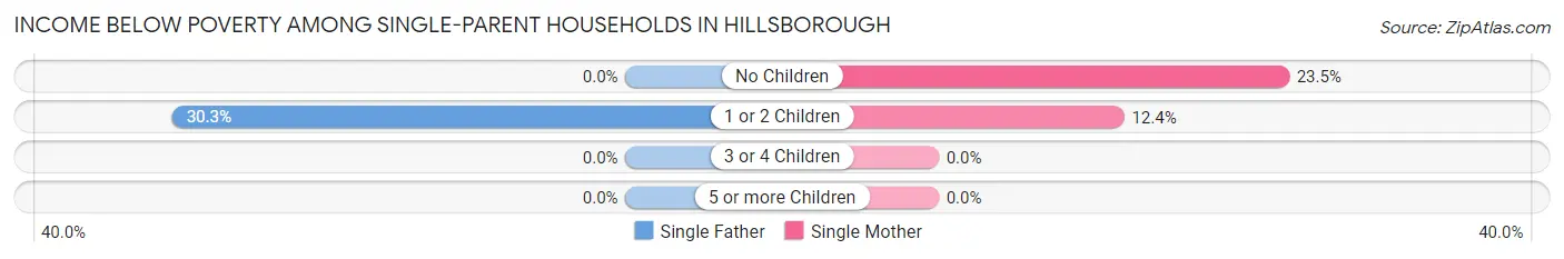 Income Below Poverty Among Single-Parent Households in Hillsborough