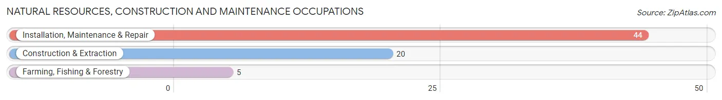 Natural Resources, Construction and Maintenance Occupations in Hillsborough