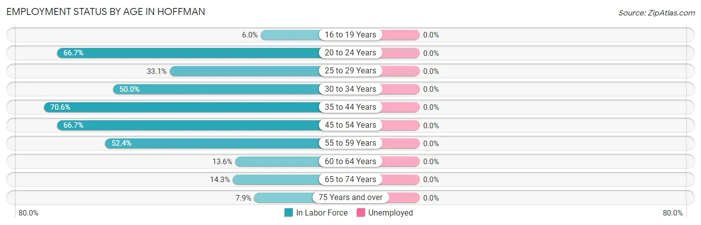 Employment Status by Age in Hoffman