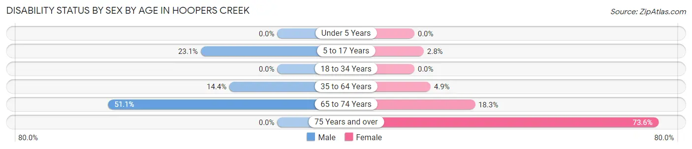 Disability Status by Sex by Age in Hoopers Creek