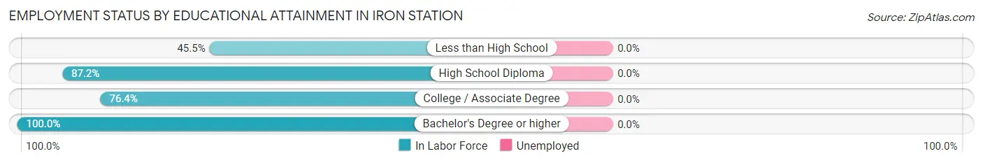 Employment Status by Educational Attainment in Iron Station