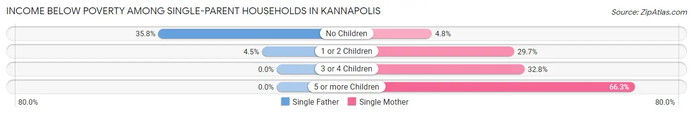 Income Below Poverty Among Single-Parent Households in Kannapolis