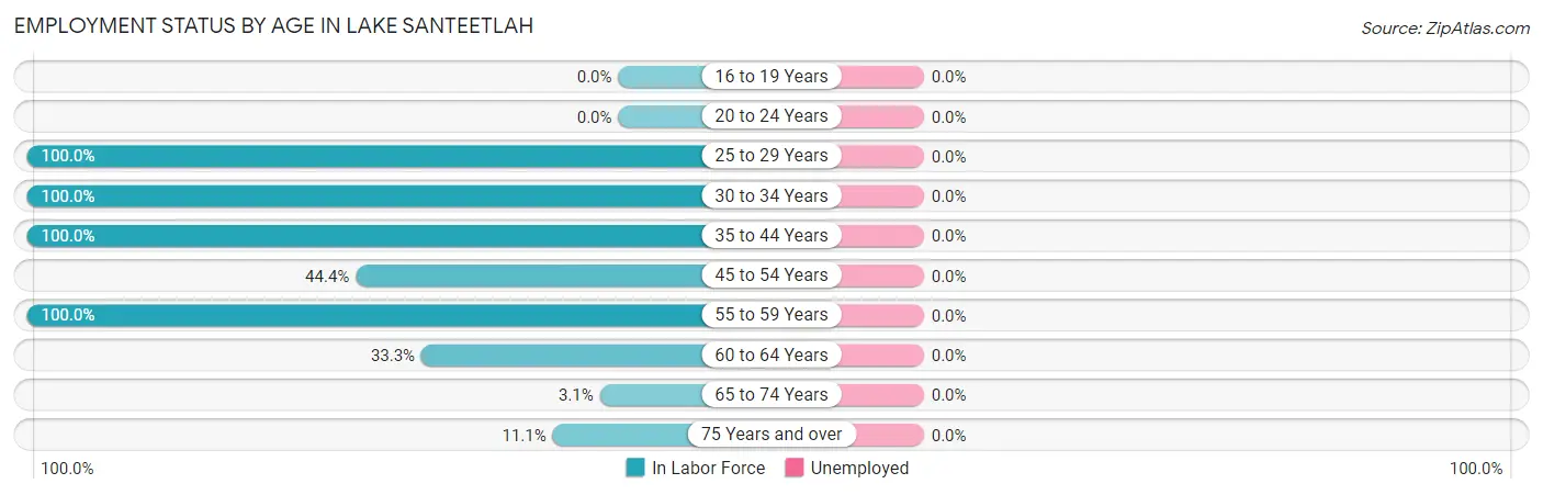 Employment Status by Age in Lake Santeetlah
