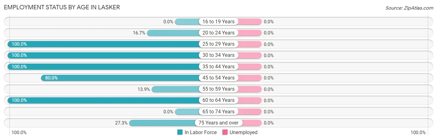 Employment Status by Age in Lasker