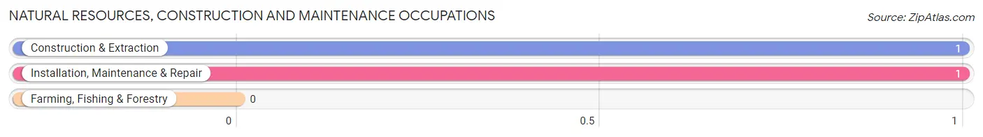 Natural Resources, Construction and Maintenance Occupations in Lasker