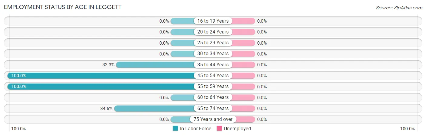 Employment Status by Age in Leggett