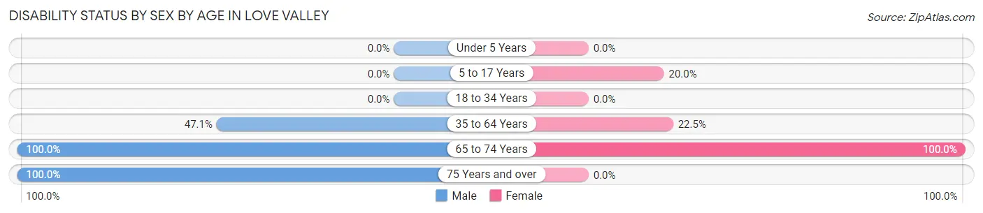 Disability Status by Sex by Age in Love Valley