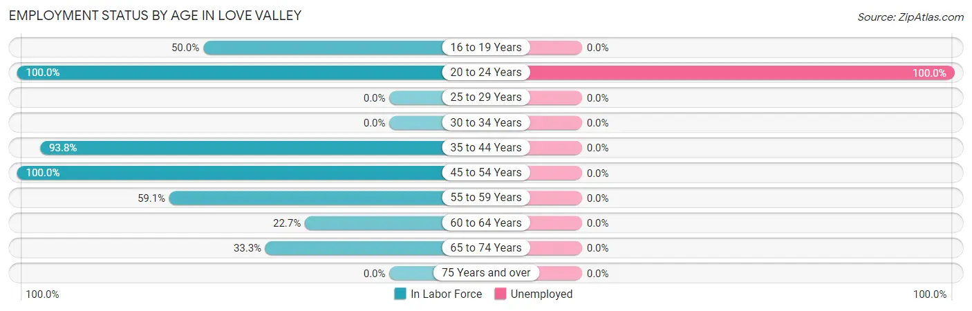 Employment Status by Age in Love Valley