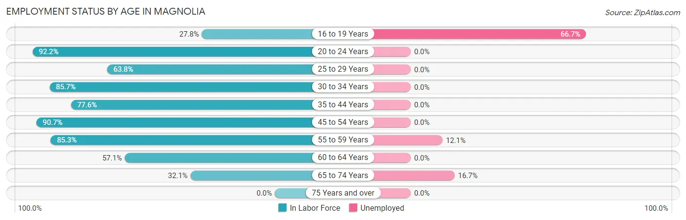Employment Status by Age in Magnolia
