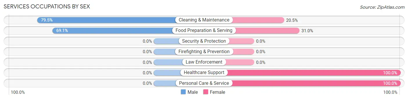 Services Occupations by Sex in Maiden