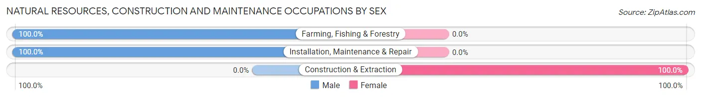 Natural Resources, Construction and Maintenance Occupations by Sex in Manns Harbor
