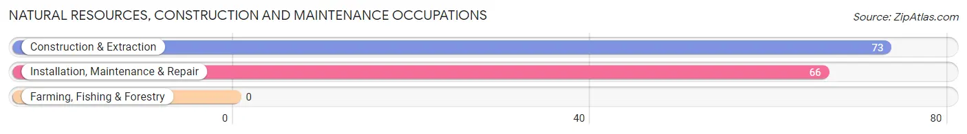 Natural Resources, Construction and Maintenance Occupations in Marshville