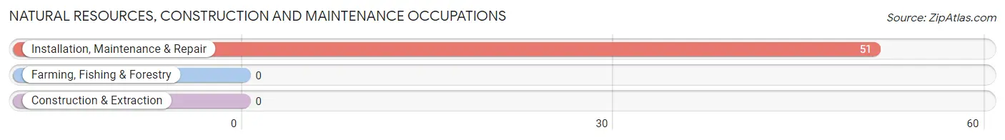 Natural Resources, Construction and Maintenance Occupations in Marvin