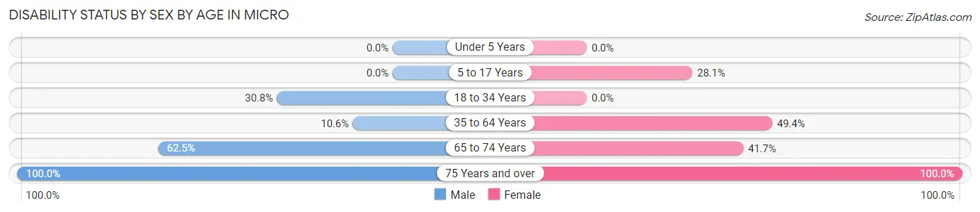 Disability Status by Sex by Age in Micro