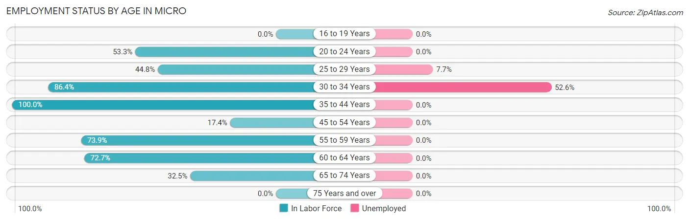 Employment Status by Age in Micro