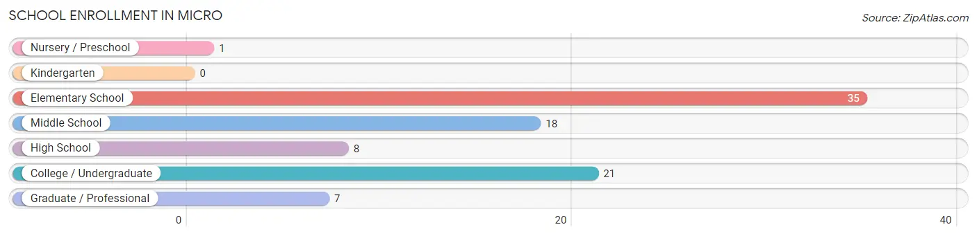 School Enrollment in Micro