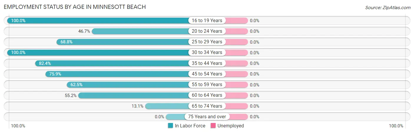 Employment Status by Age in Minnesott Beach