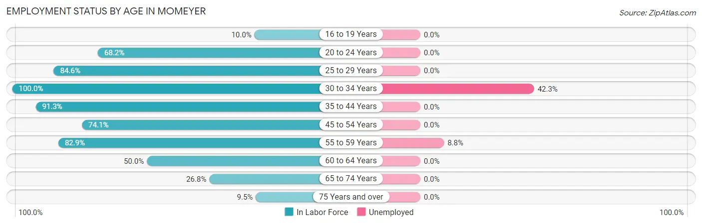 Employment Status by Age in Momeyer