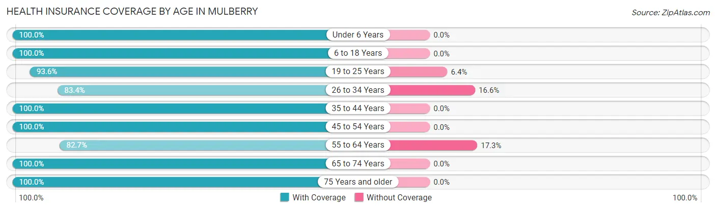 Health Insurance Coverage by Age in Mulberry