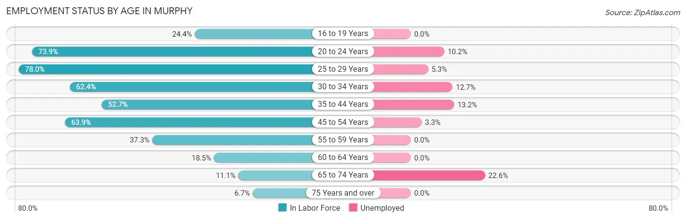 Employment Status by Age in Murphy