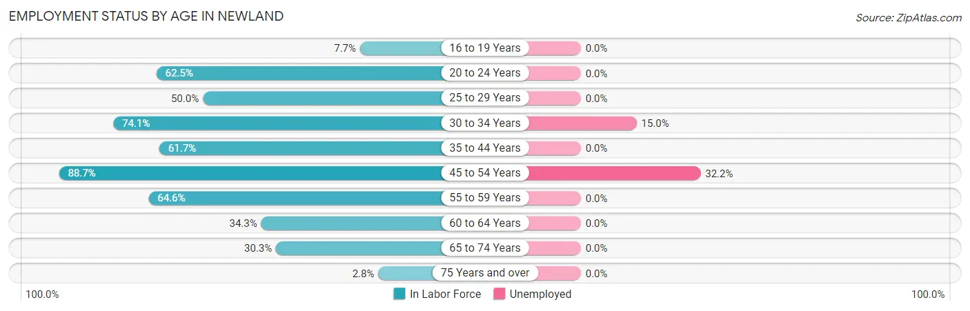 Employment Status by Age in Newland