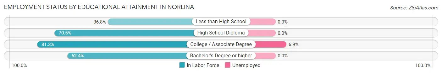 Employment Status by Educational Attainment in Norlina