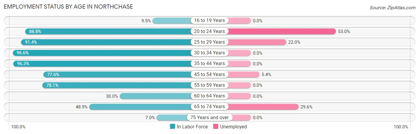 Employment Status by Age in Northchase