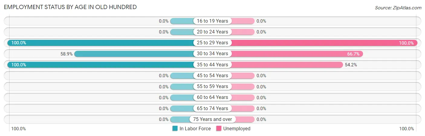 Employment Status by Age in Old Hundred
