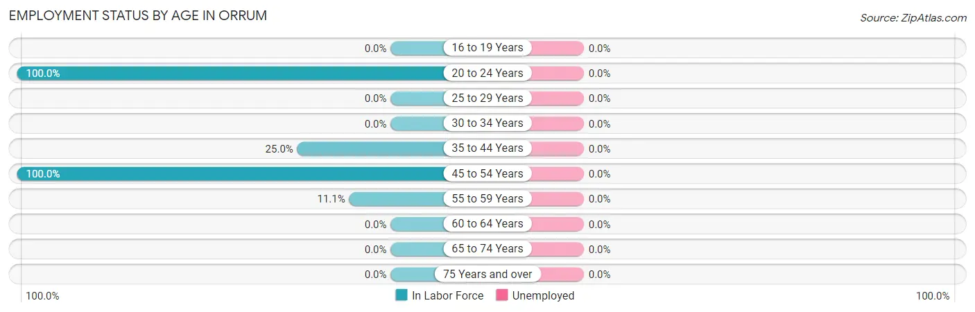 Employment Status by Age in Orrum