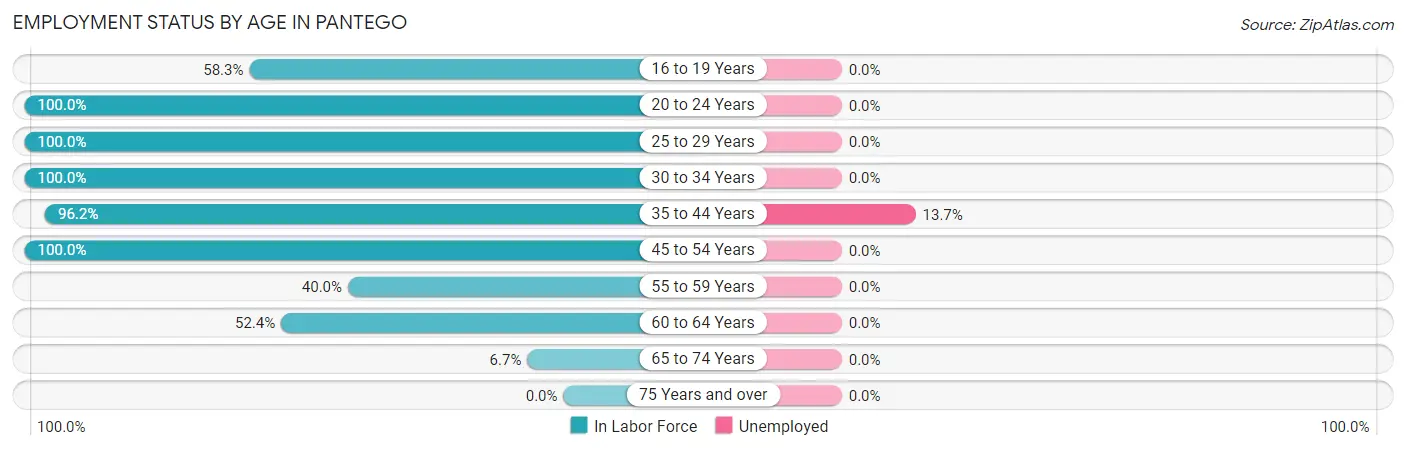 Employment Status by Age in Pantego