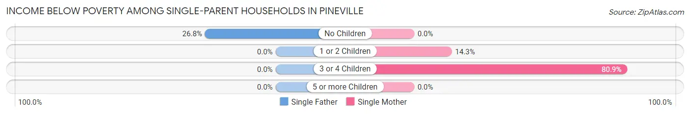 Income Below Poverty Among Single-Parent Households in Pineville