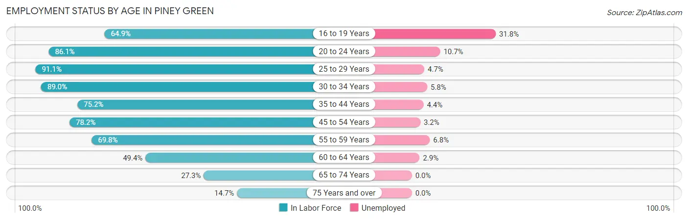 Employment Status by Age in Piney Green