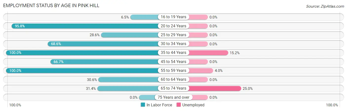 Employment Status by Age in Pink Hill