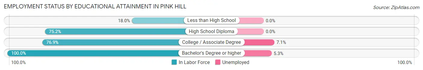 Employment Status by Educational Attainment in Pink Hill