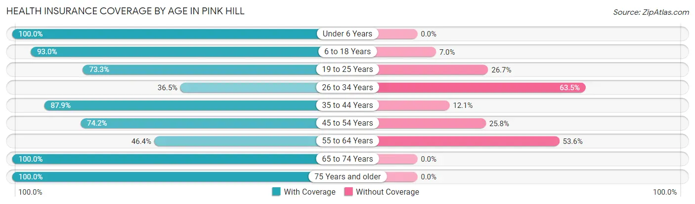 Health Insurance Coverage by Age in Pink Hill