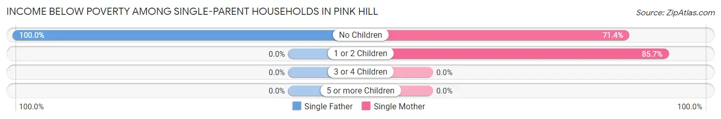 Income Below Poverty Among Single-Parent Households in Pink Hill