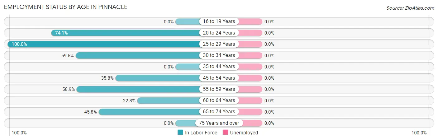 Employment Status by Age in Pinnacle