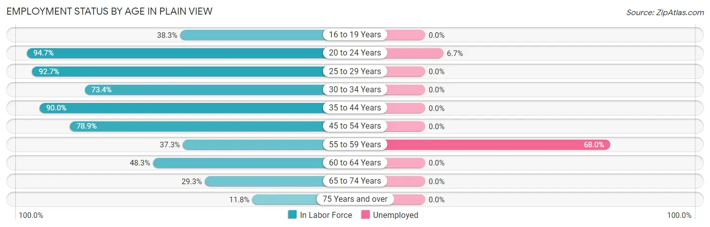 Employment Status by Age in Plain View