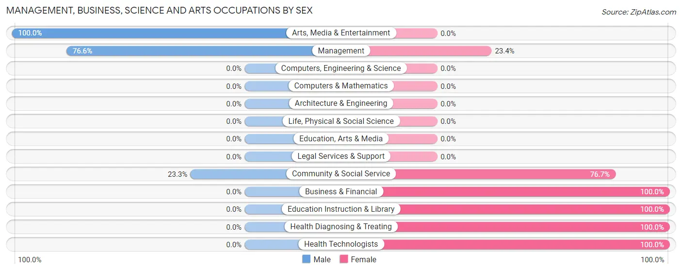 Management, Business, Science and Arts Occupations by Sex in Plain View