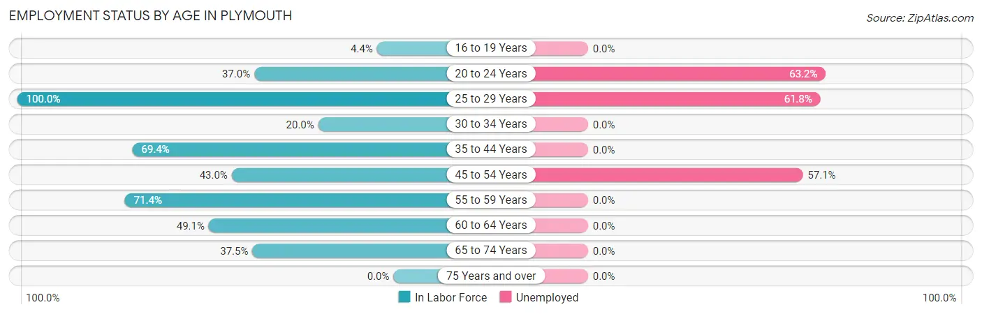 Employment Status by Age in Plymouth