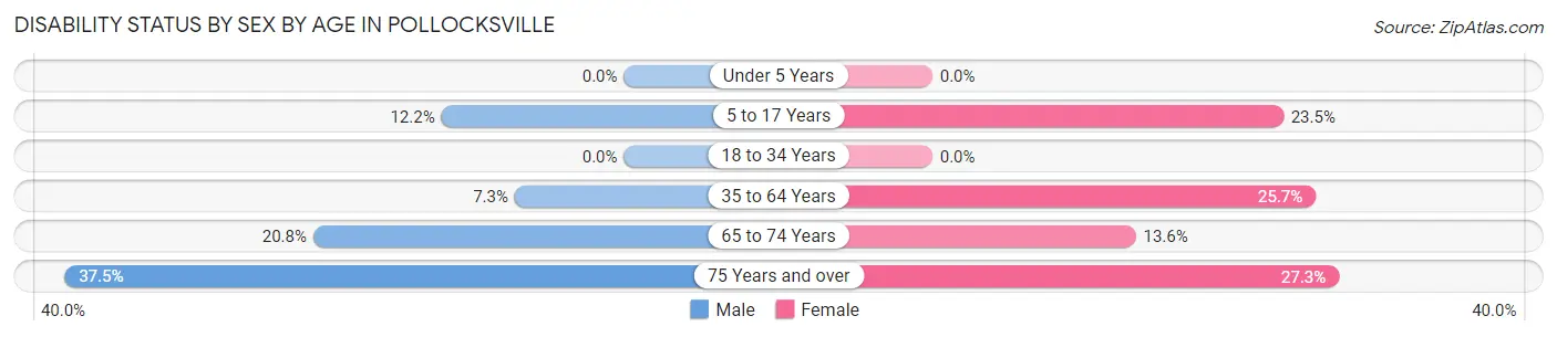 Disability Status by Sex by Age in Pollocksville