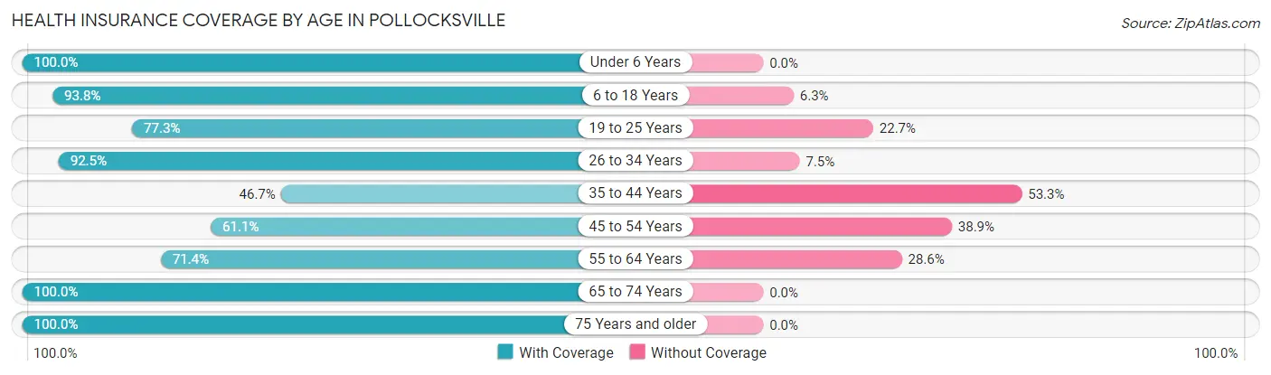 Health Insurance Coverage by Age in Pollocksville