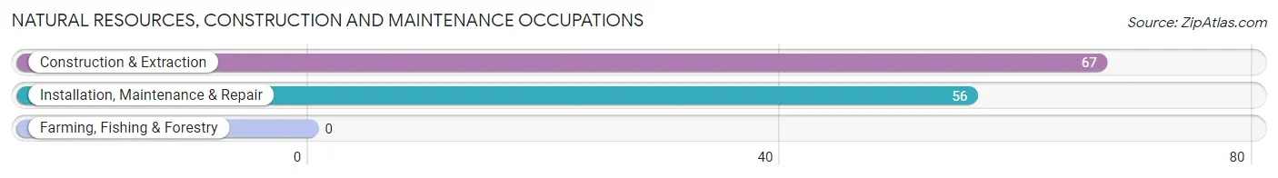 Natural Resources, Construction and Maintenance Occupations in Porters Neck