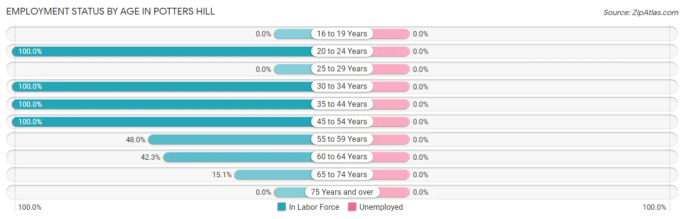 Employment Status by Age in Potters Hill