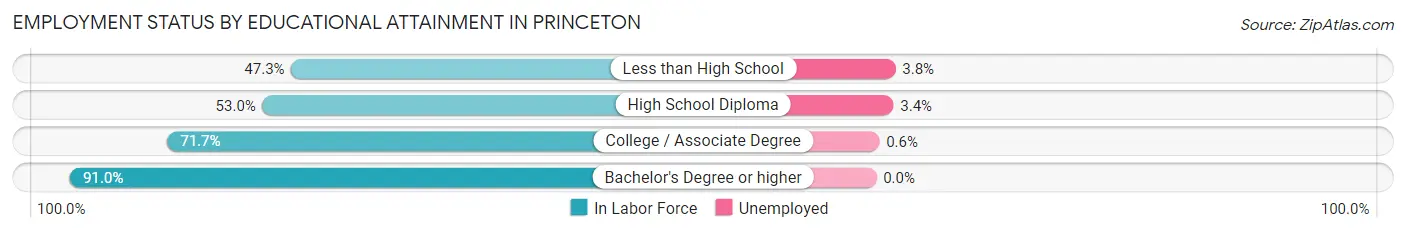 Employment Status by Educational Attainment in Princeton