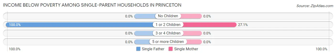 Income Below Poverty Among Single-Parent Households in Princeton