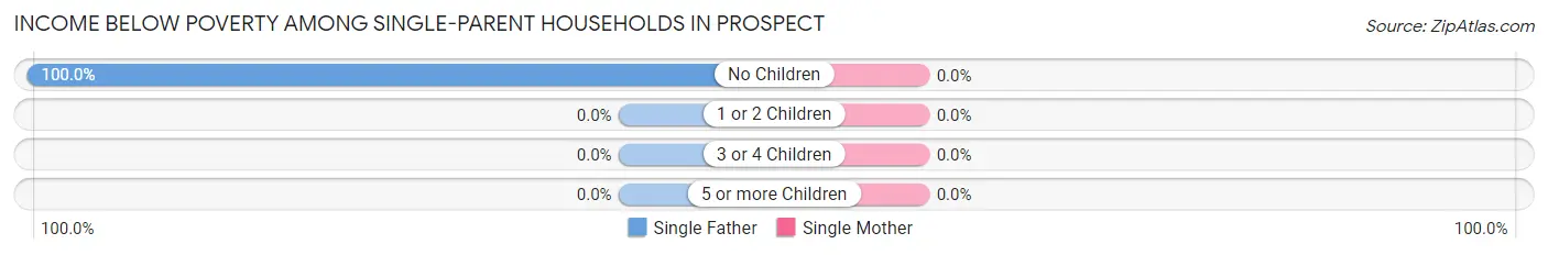 Income Below Poverty Among Single-Parent Households in Prospect