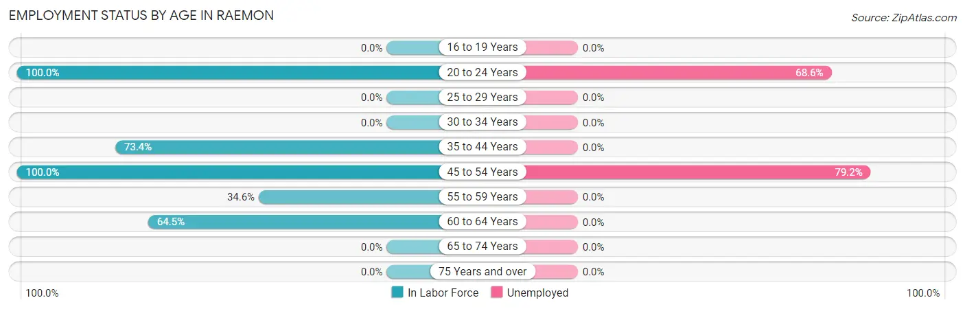 Employment Status by Age in Raemon