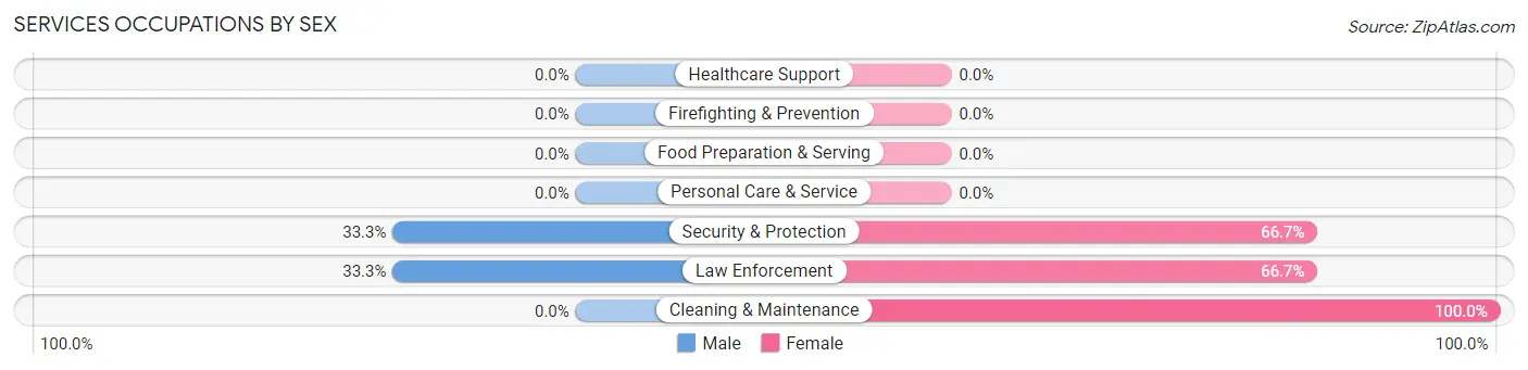 Services Occupations by Sex in Raynham
